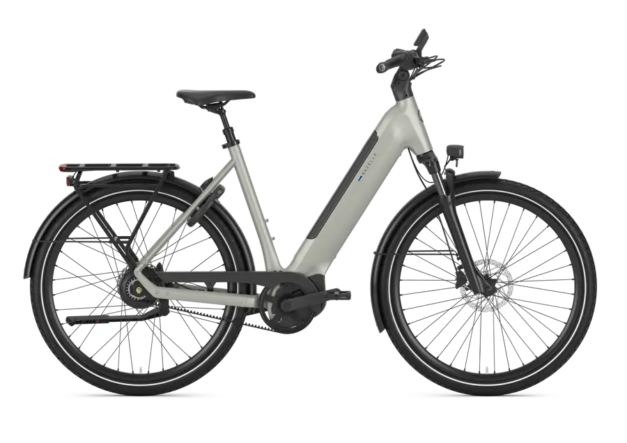 Gazelle Ultimate C380
