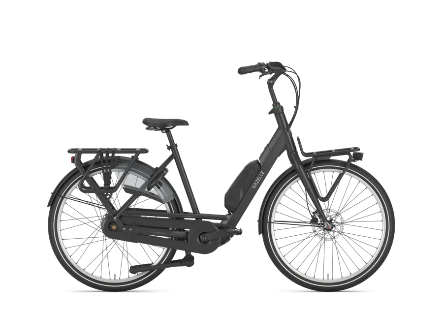 Bloom C310