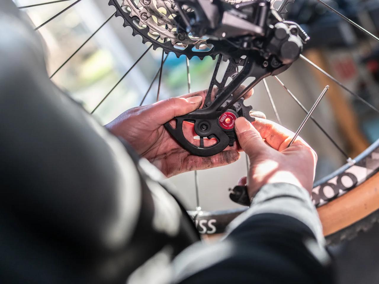 RollerBoys Ceramic 12T SRAM pulleys