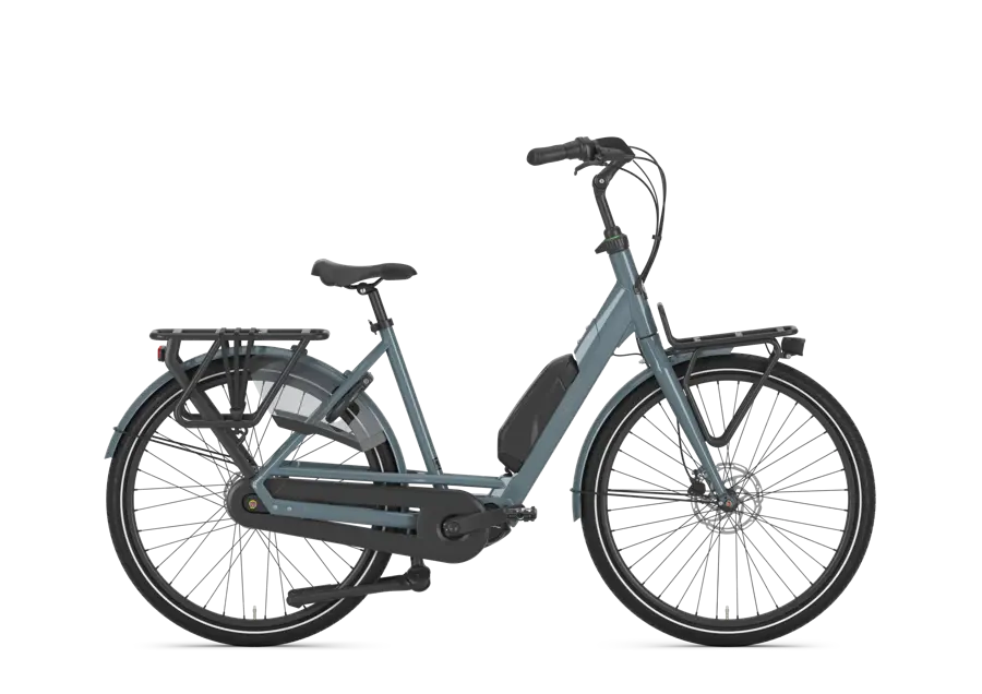 Bloom C7