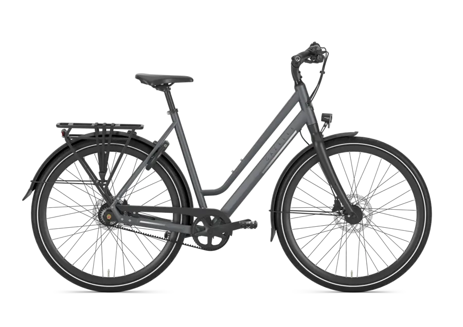 Chamonix S11