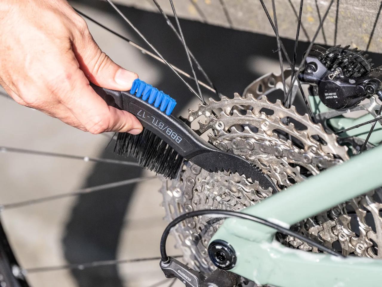 Outil de nettoyage de la brosse à dents