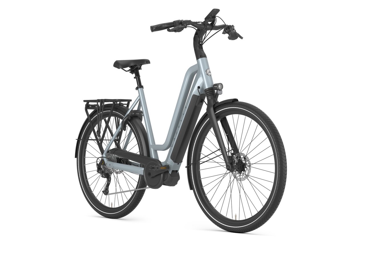 Chamonix T10 HMS