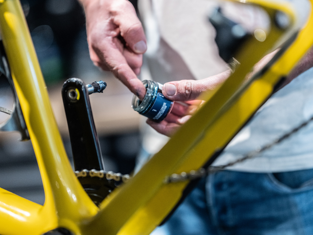 BioBearingGrease 50ml